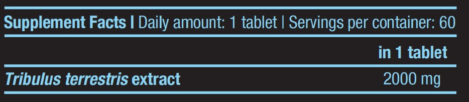 TROBOOSTER / 60 Registerkarten