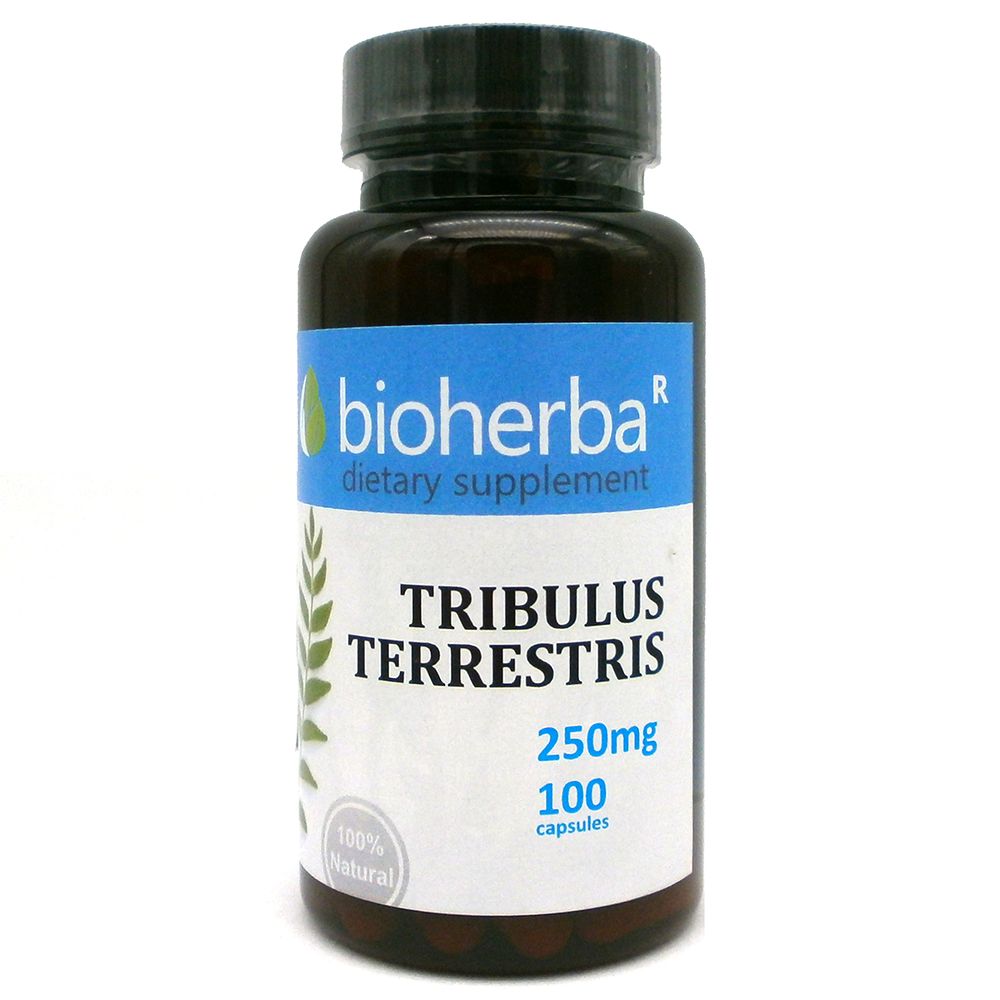 Tribulus terrestris 250 mg - 100 Kapseln