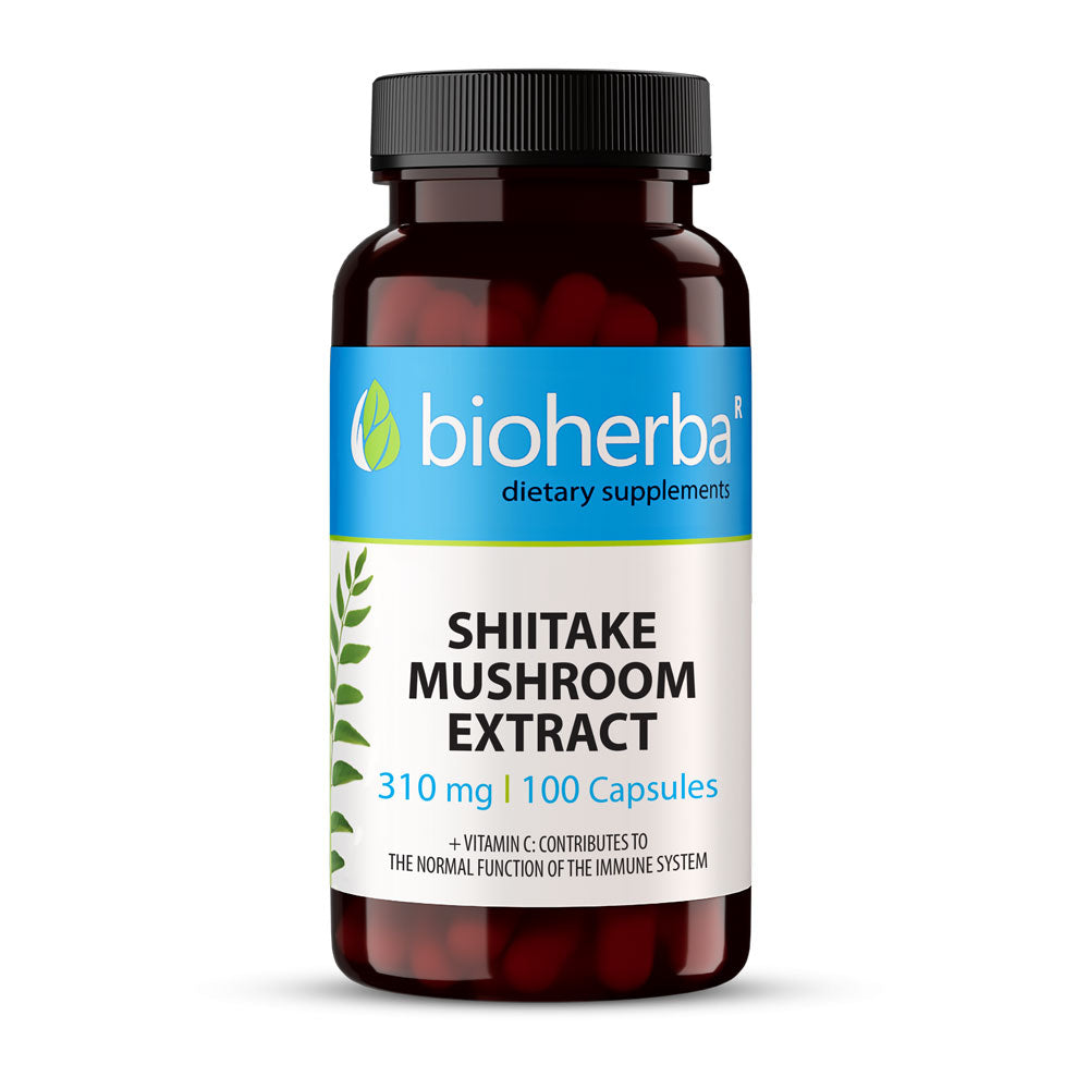 Shiitake Pilzextrakt 310 mg - 100 Kapseln