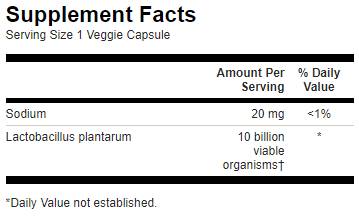 Lactobacillus plantarum / l Plantarum - 30 Kapseln