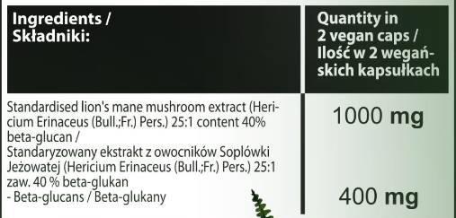 Löwenmähne | 40 % Beta-Glucane – 60 Kapseln