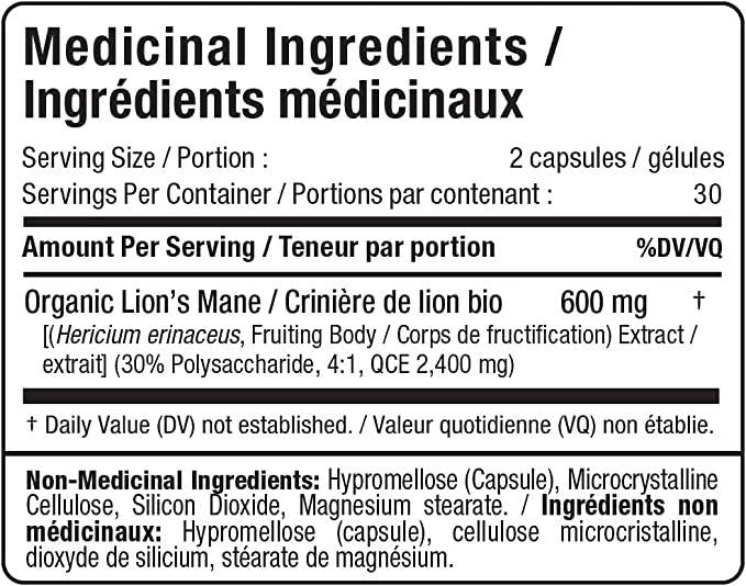 Löwenmähnenextrakt 600 mg – 60 Kapseln