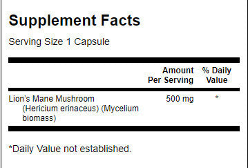 Löwenmähnenpilz 500 mg – 60 Kapseln