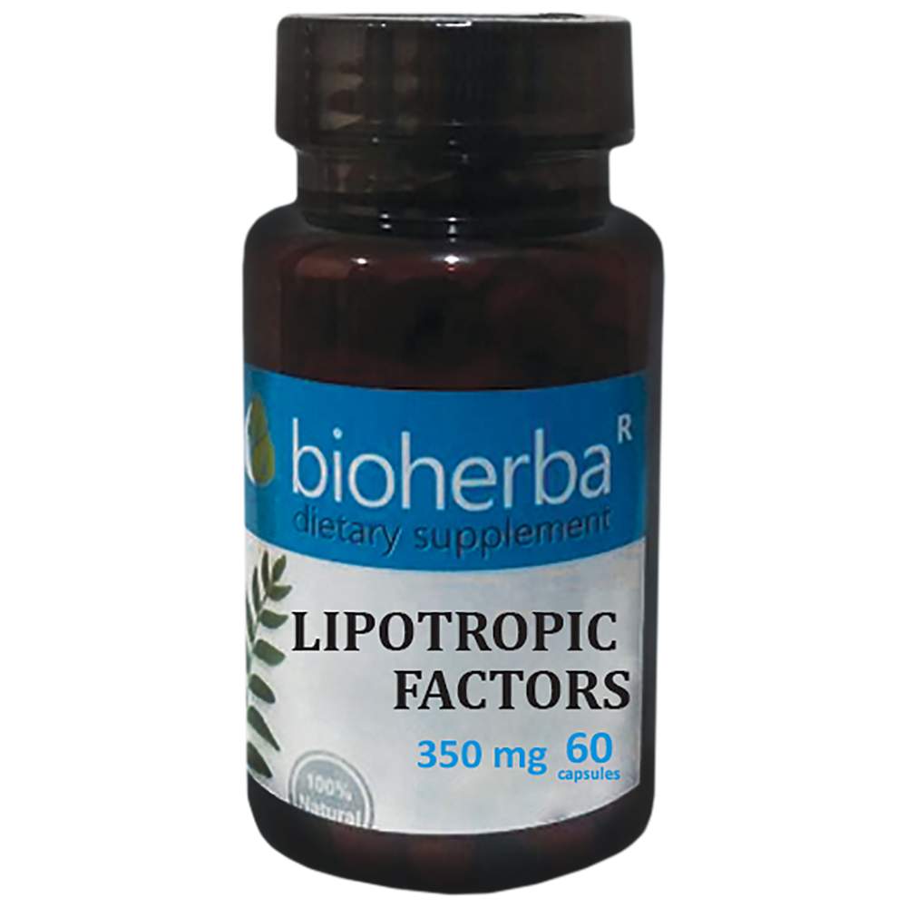 Lipotrope Faktoren 350 mg – 60 Kapseln