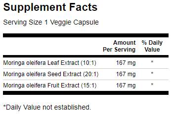 Moringa Oleifera 501 mg – 60 Kapseln