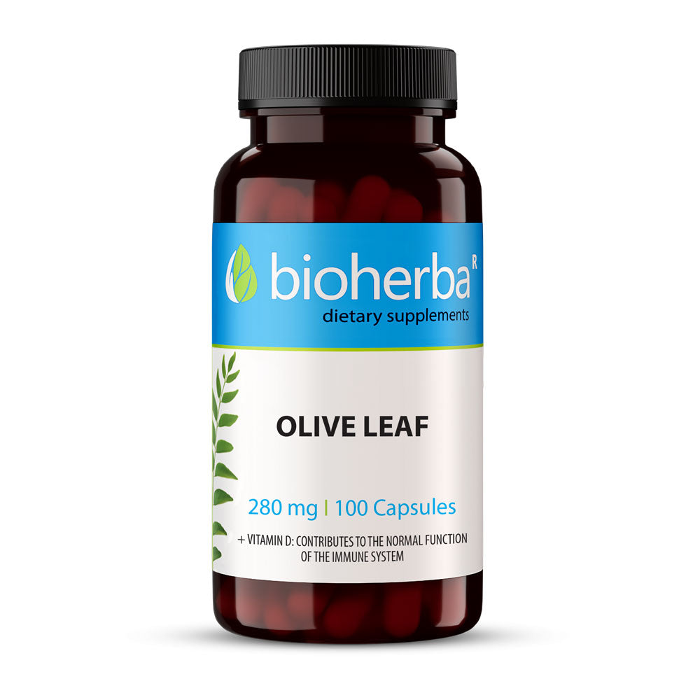 Olivenblatt 280 mg – 100 Kapseln