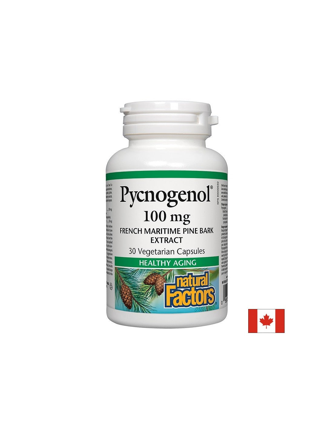 Pycnogenol® 100 mg – 30 Kapseln