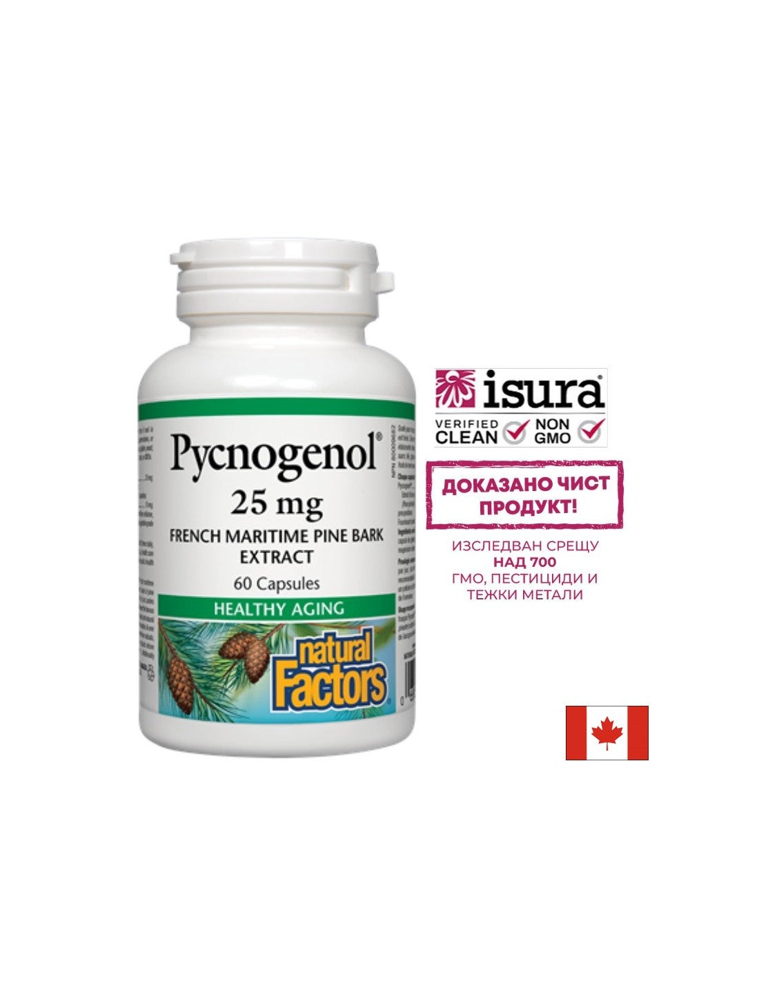 Pycnogenol 25 mg – 60 Kapseln