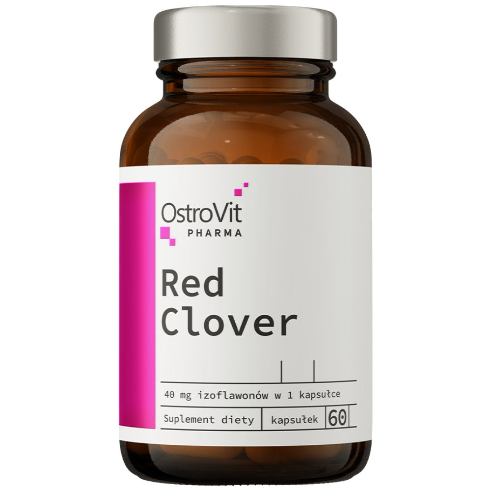 Rotklee 500 mg | mit 8 % Isoflavonen 60 Kapseln