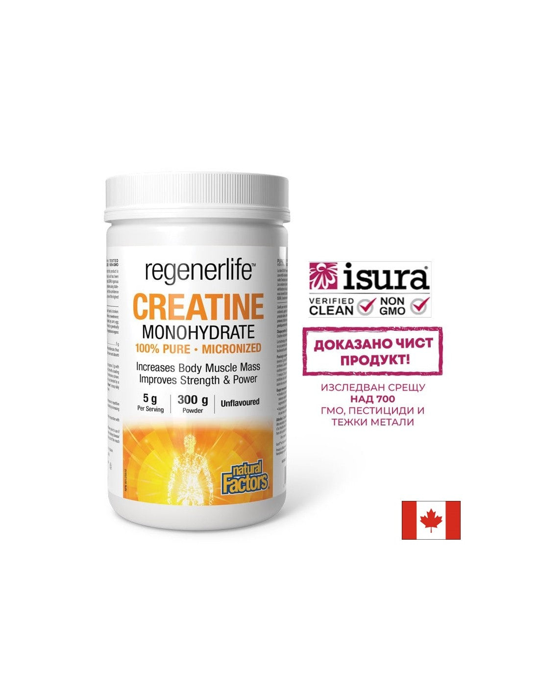 Kreatin-Monohydrat (mikronisiert) Regenerlife™ – Kraft, Ausdauer und Muskelleistung, 5000 mg x 300 g Pulver
