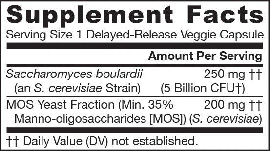 Saccharomyces Boulardii + MOS – 90 Kapseln