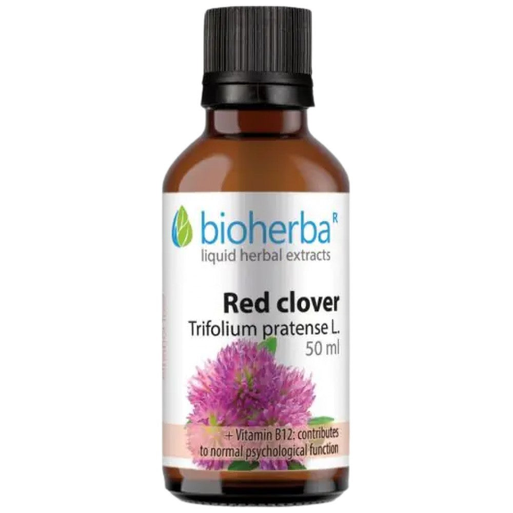 Rotklee-Tinktur - 50 ml