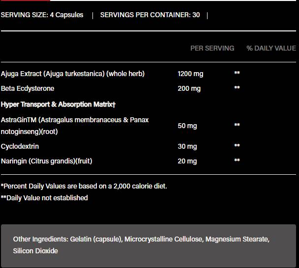 Turkesteron 1200 | mit Beta-Ecdysteron & AstraGin – 120 Kapseln