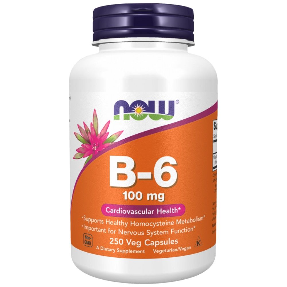 Vitamin B-6 100 mg – 250 Kapseln