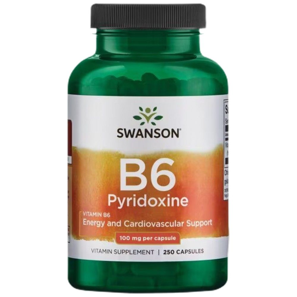 Vitamin B6 100 mg/Pyridoxin – 250 Kapseln