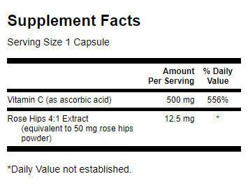 Vitamin C mit Hagebutten 500 mg – 100 Kapseln