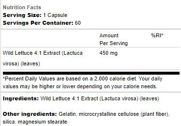 Wilder Salat 450 mg 60 Kapseln