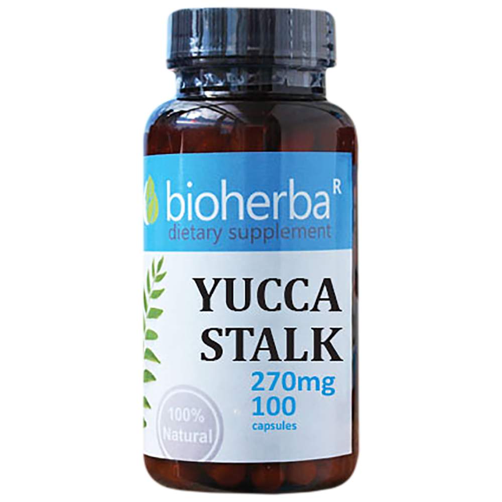 Yucca-Stiel 270 mg – 100 Kapseln