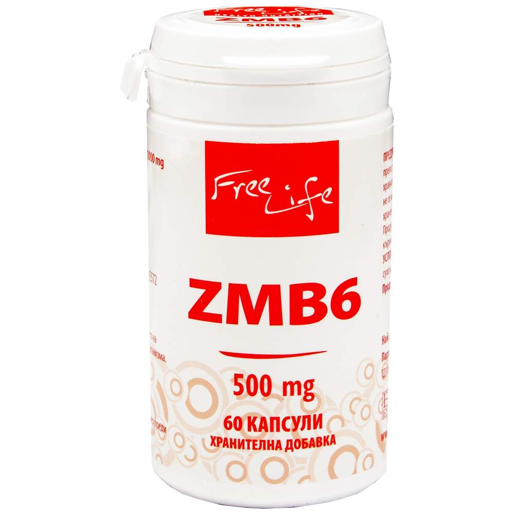 ZMB6 500 mg – 60 Kapseln
