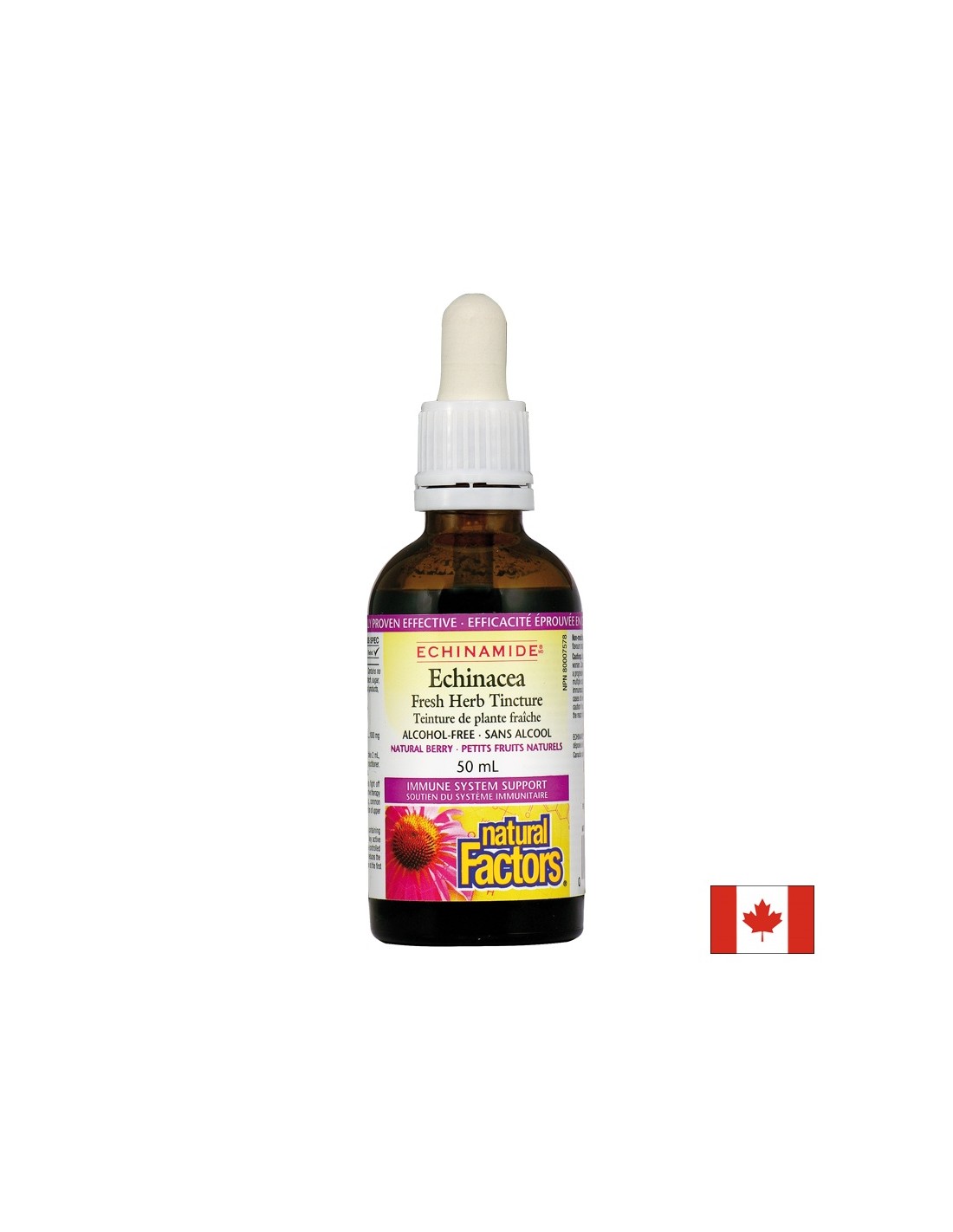 Echinacea Fresh Kräutertinktur 1000 mg - 50 ml