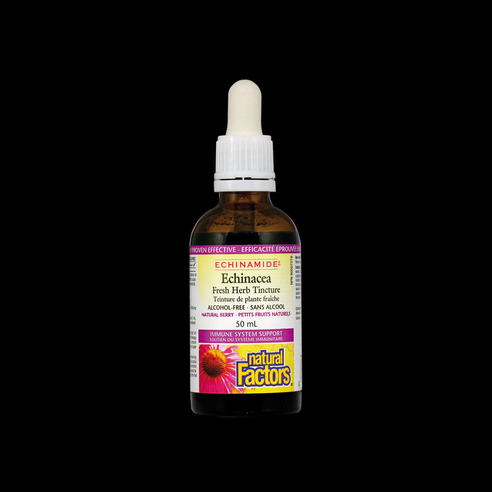 Echinacea Fresh Kräutertinktur 1000 mg - 50 ml