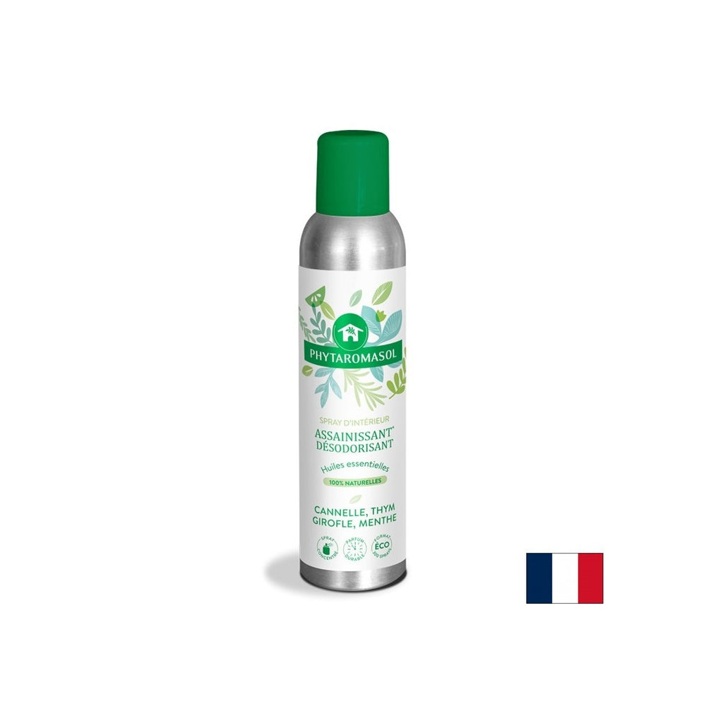 Zimmerluftfrischer (mit Zimt, Nelke, Thymian, Minzduft), 250 ml