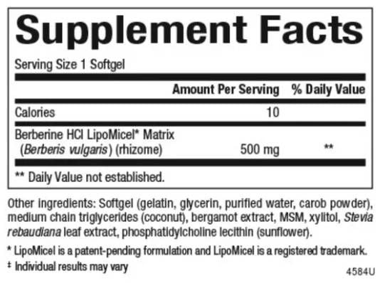 Berberin Lipomicel Matrix 500 mg - 60 Gelkapseln