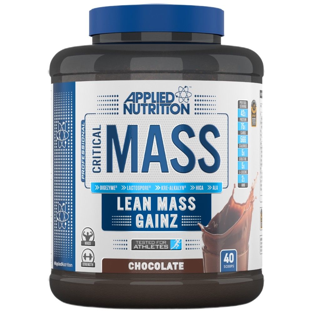 Kritischer Massenprofi - 2400 Gramm