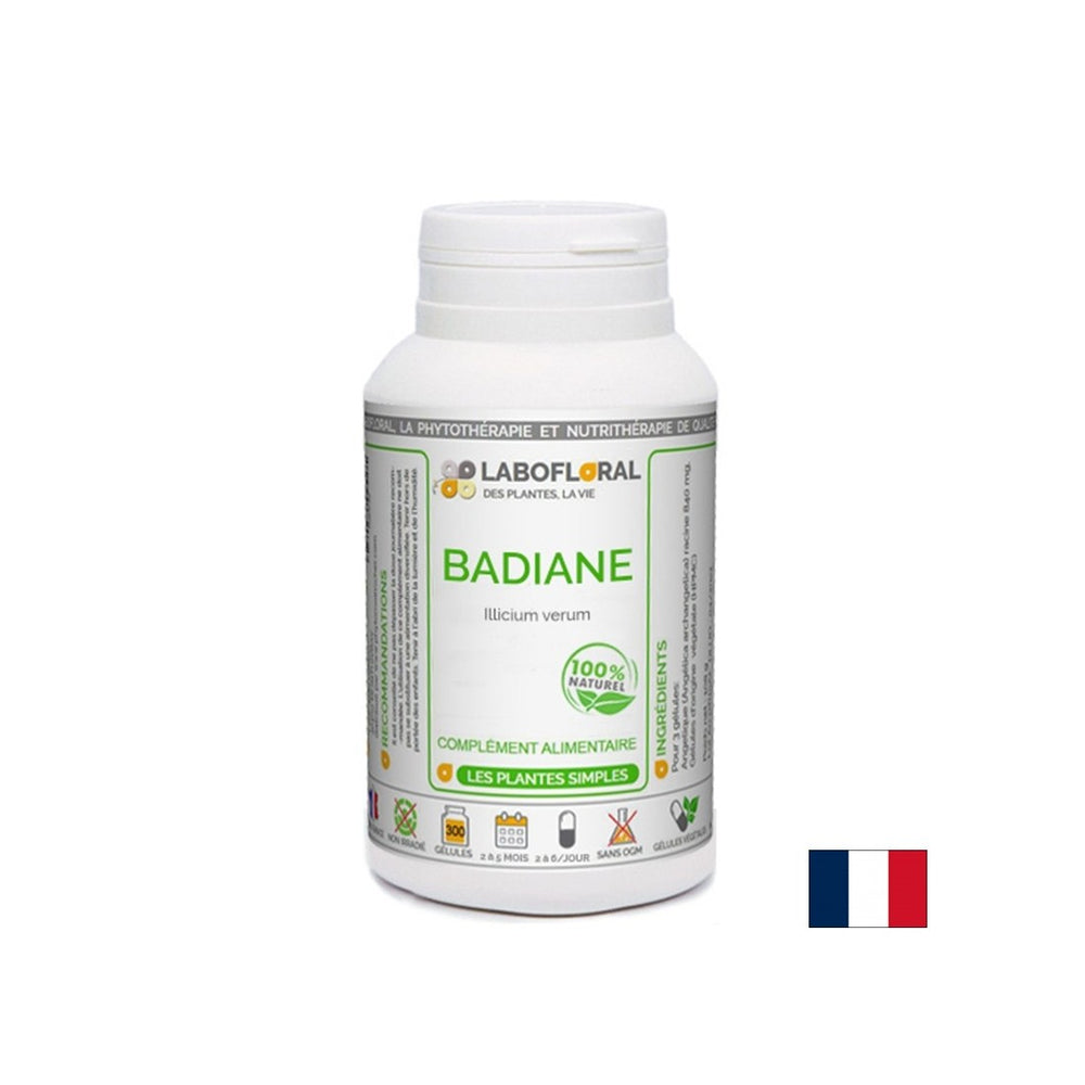 Gute Verdauung - chinesischer Star Anis, 300 mg x 50 Kapseln