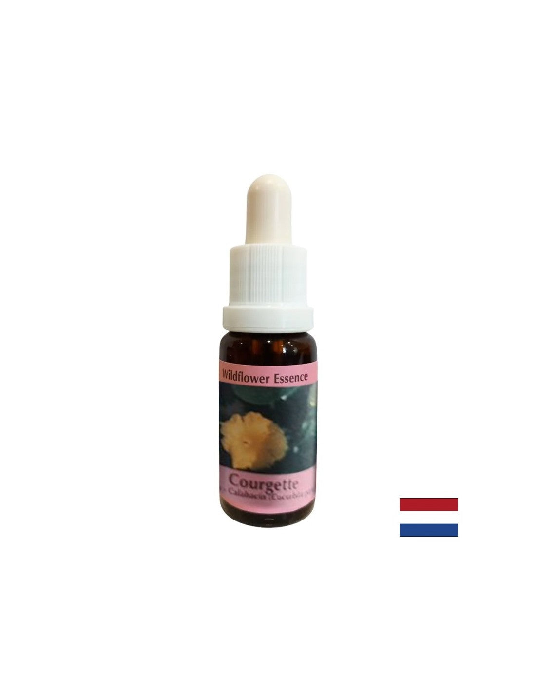 Unterstützt Menstruation, Schwangerschaft und Sexualität - Kürbisessenz Nr. 29, Tropfen 15 ml