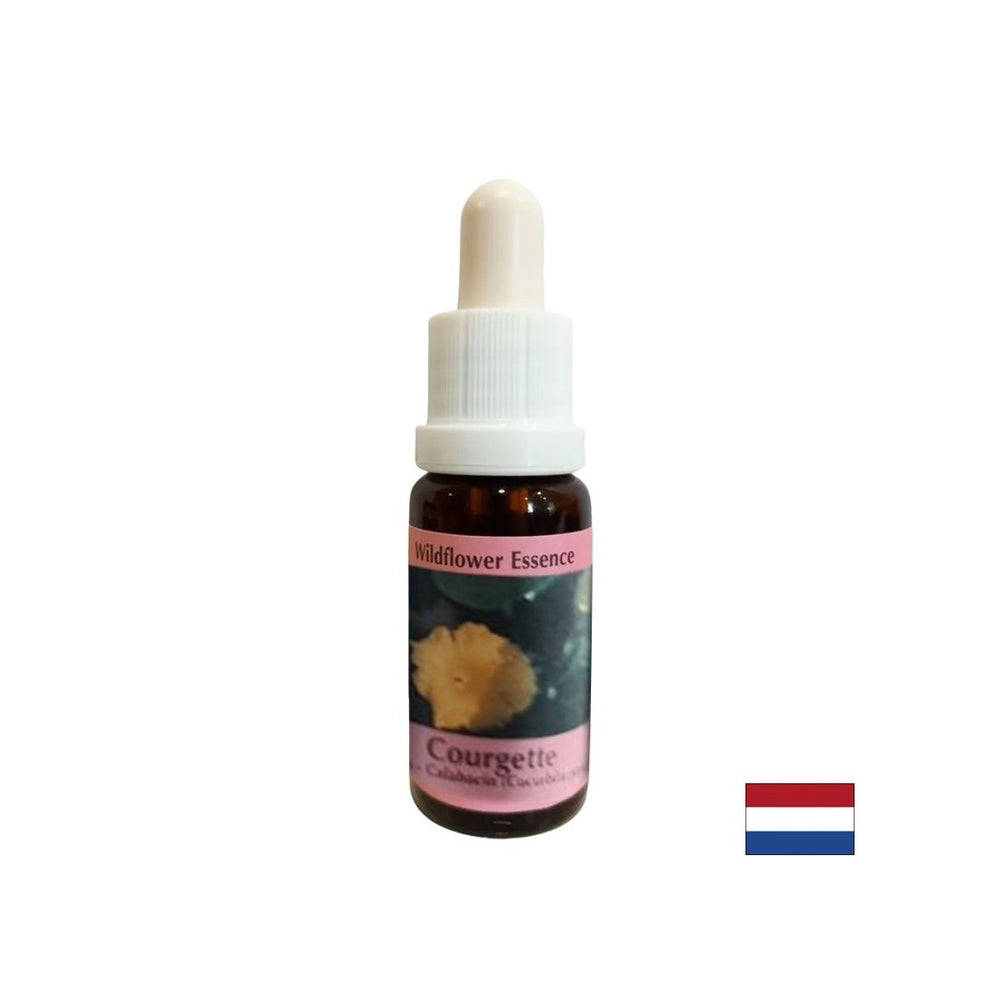 Unterstützt Menstruation, Schwangerschaft und Sexualität - Kürbisessenz Nr. 29, Tropfen 15 ml