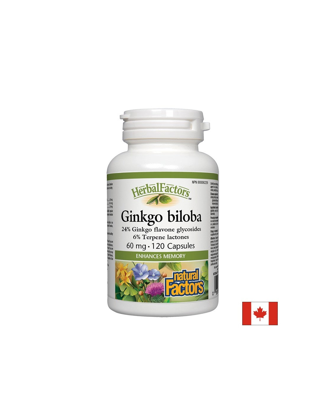 Ginkgo Biloba 60 mg - 120 Kapseln