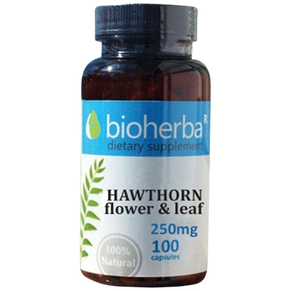 Hawthorn Blume & Blatt 250 mg - 100 Kapseln