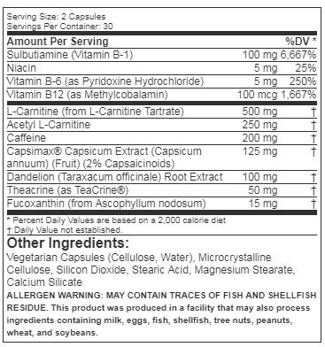 Shred Sport 60 Kapseln