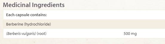 Wellbetx Berberine 500 mg - 60 Kapseln