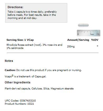 Rhodiola Rosea 250 mg - 60 Kapseln