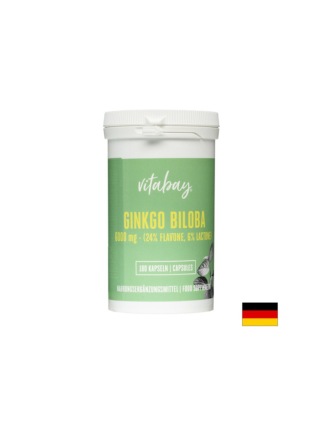 Speicher und Konzentration - Ginkgo Biloba, 6000 mg x 180 Kapseln