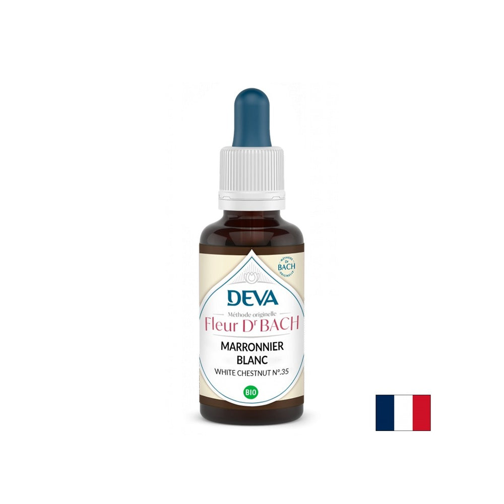 Gedächtnis und Konzentration - Pferdestüran, Bach -Tropfen Nr. 35, 15 ml