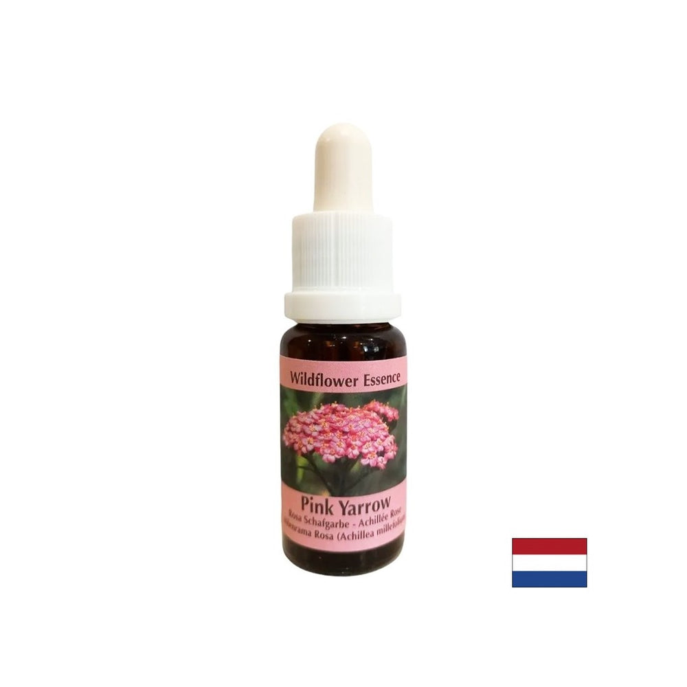 Schützen Sie Emotionen und allgemeine Gesundheit - Essence Pink Yarrow Nr. 35, Tropfen 15 ml