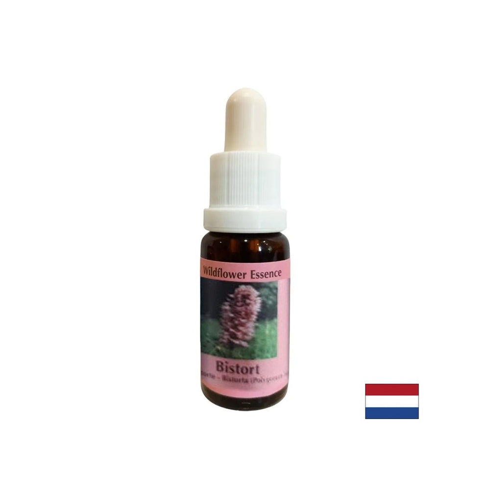 Unterstützt Konzentration und Fokus - Blutwurzelessenz Nr. 28, Tropfen 15 ml