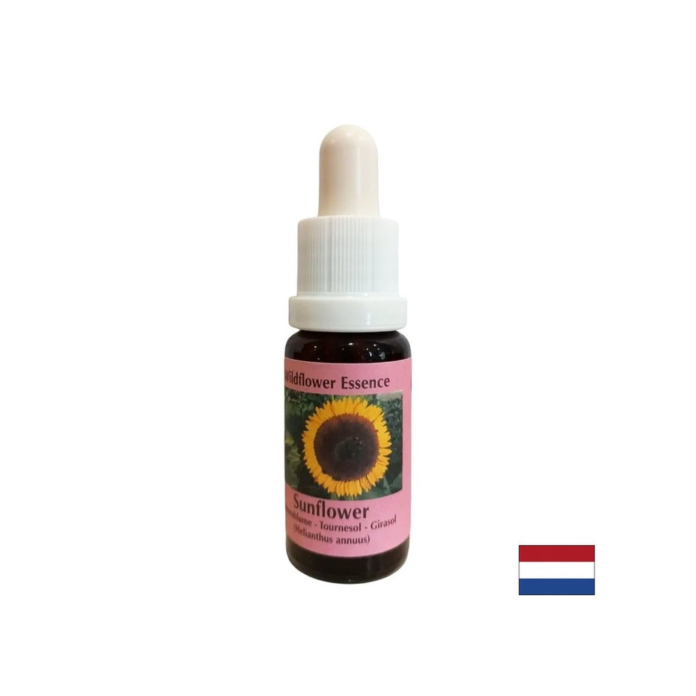 Überwindet Konflikte mit Eltern, stärkt Selbstbewusstsein und Verantwortung - Sonnenblumenessenz Nr. 16, fällt 15 ml ab 15 ml