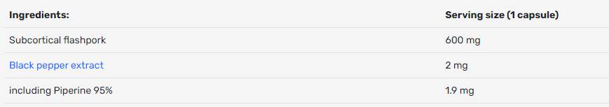 Chaga -Pilz 600 mg - 90 Kapseln