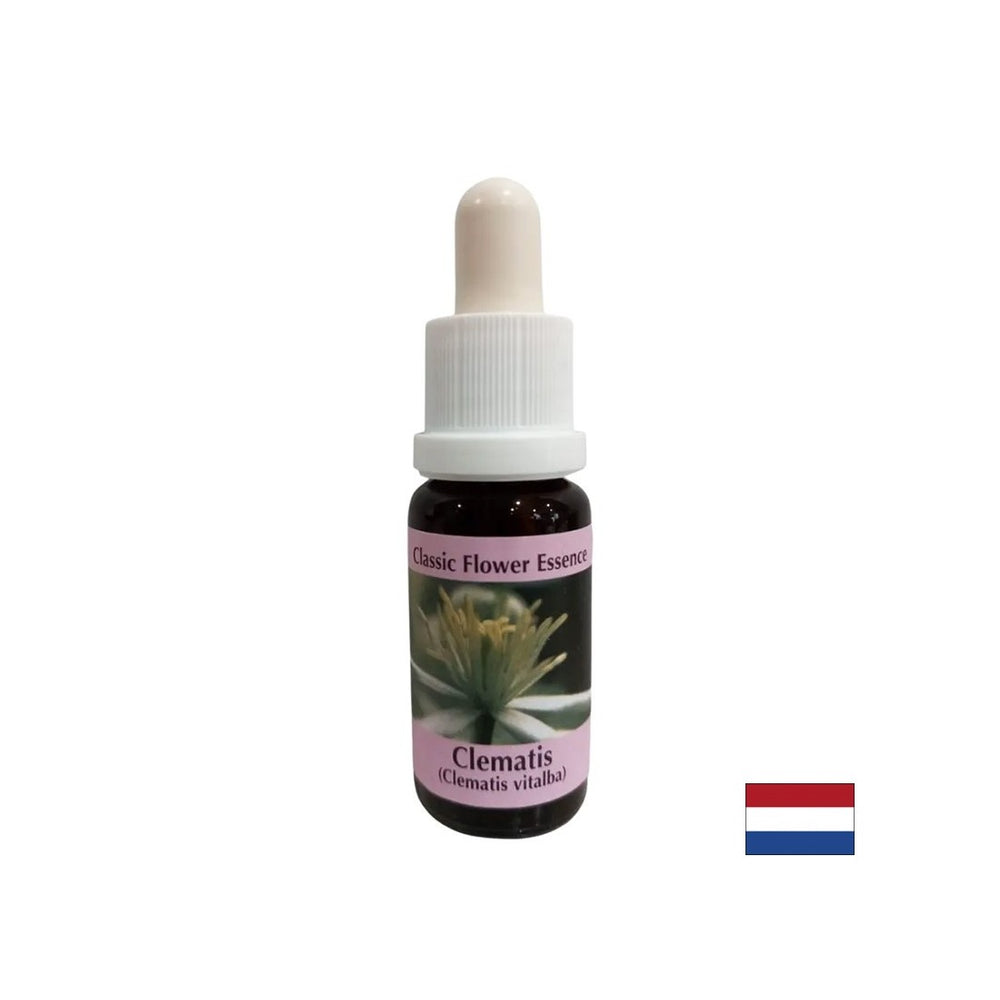 Verbindet die innere Welt mit Realität - Essence Povet Nr. 9, fällt 15 ml ab