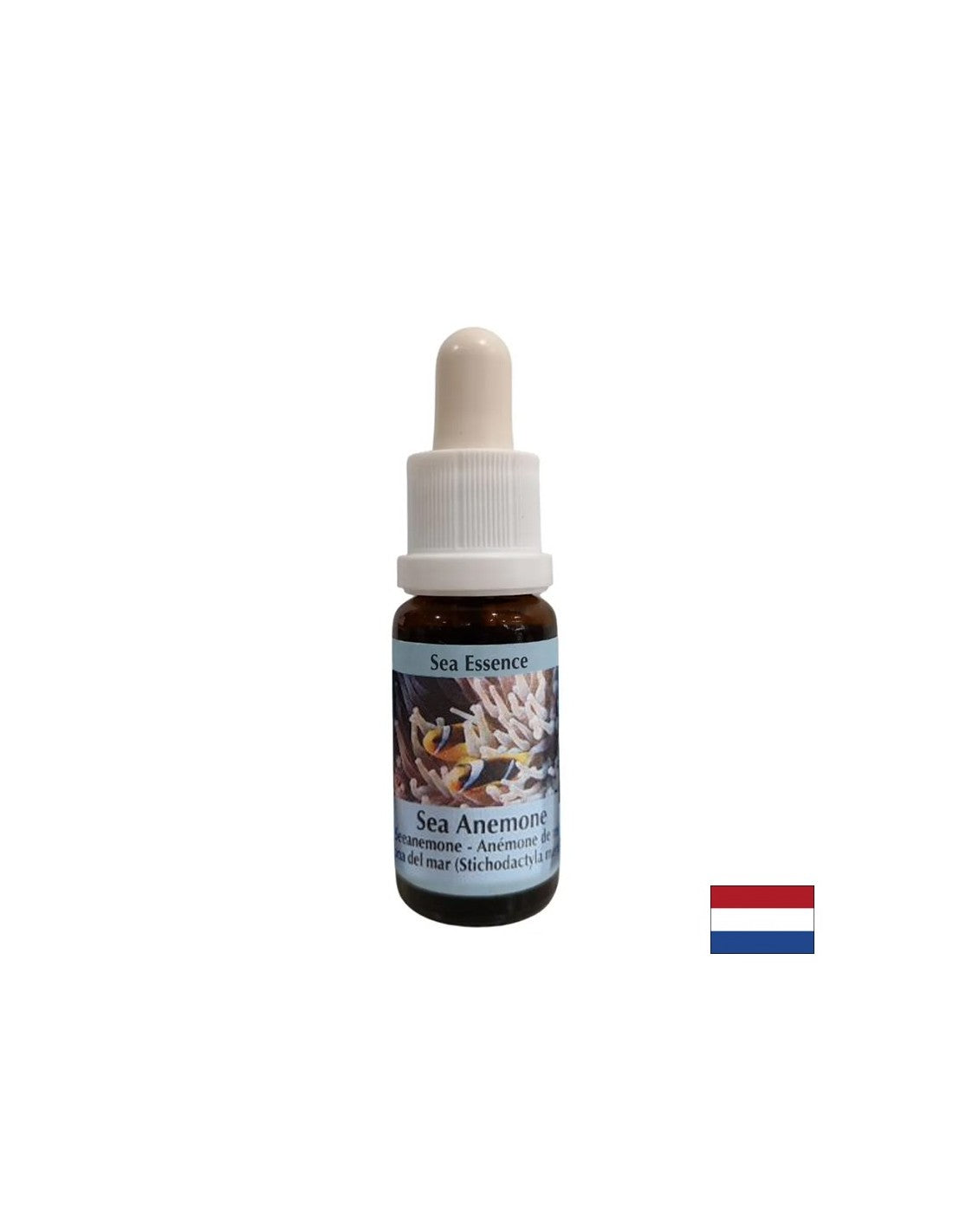 Stärkt den Zusammenhalt und die Klarheit bei der Auswahl eines Partners - Sea Anemone Essence Nr. 6, fällt 15 ml ab
