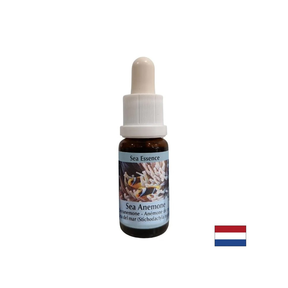 Stärkt den Zusammenhalt und die Klarheit bei der Auswahl eines Partners - Sea Anemone Essence Nr. 6, fällt 15 ml ab