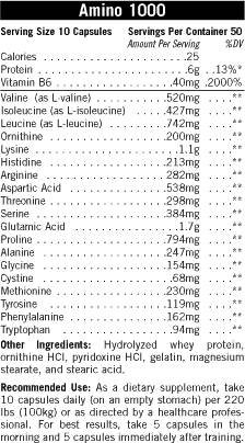 Amino 1000 500 Kapseln