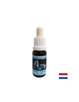 Emotionales Gleichgewicht – Amazonit-Essenz Nr. 1, Tropfen 15 ml