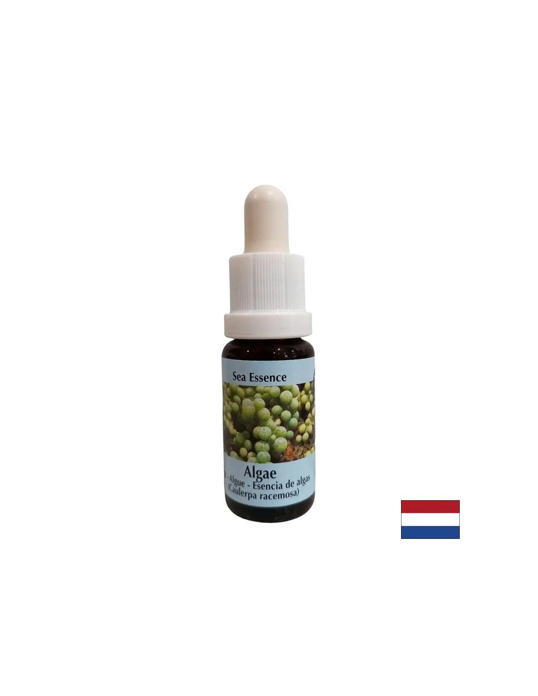 Regt die Selbstheilung an – Algenessenz Nr. 1, Tropfen 15 ml