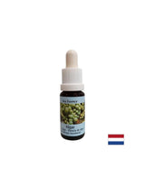 Regt die Selbstheilung an – Algenessenz Nr. 1, Tropfen 15 ml