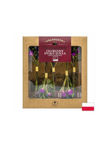 Gefriergetrockneter Tee South Garden Bio, 10 g <tc>Dary Natury</tc>